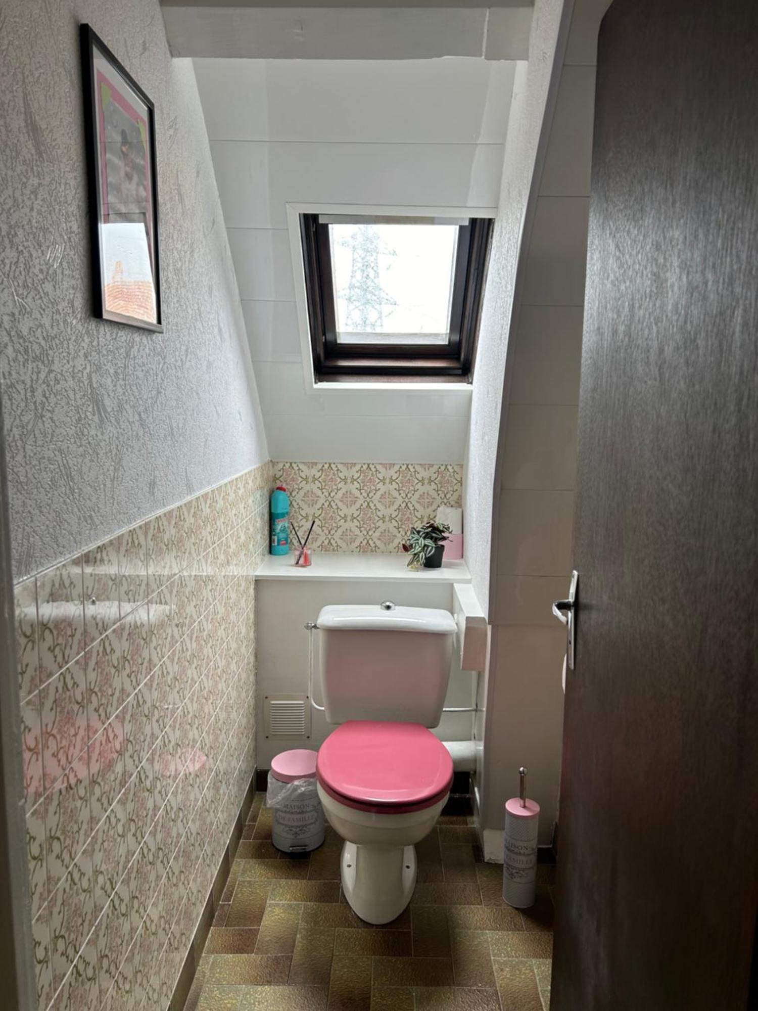 Gite La Maison Rose لانيميزان المظهر الخارجي الصورة